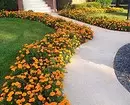 Prekrasna cvjetnjaka u dvorištu privatne kuće: 35 fotokomomoznih koji pretvaraju malu parcelu 9097_8