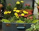 Gyönyörű virágágyások egy magánház udvarán: 35 olyan fotokompozíciók, amelyek egy kis telek konvertálódnak 9097_9