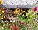 Hartimi i luleve në kopsht me duart tuaja: këshilla dhe foto të dobishme që ju pëlqen 9117_120