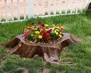 Hartimi i luleve në kopsht me duart tuaja: këshilla dhe foto të dobishme që ju pëlqen 9117_22