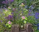 Deseño de flores no xardín coas súas propias mans: consellos e fotos útiles que lle gusta 9117_30