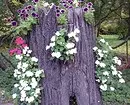 Virág tervezése a kertben a saját kezével: hasznos tippek és fotók, amiket szeretsz 9117_31