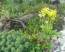Diseño de flores en el jardín con sus propias manos: consejos útiles y fotos que le gustan 9117_44