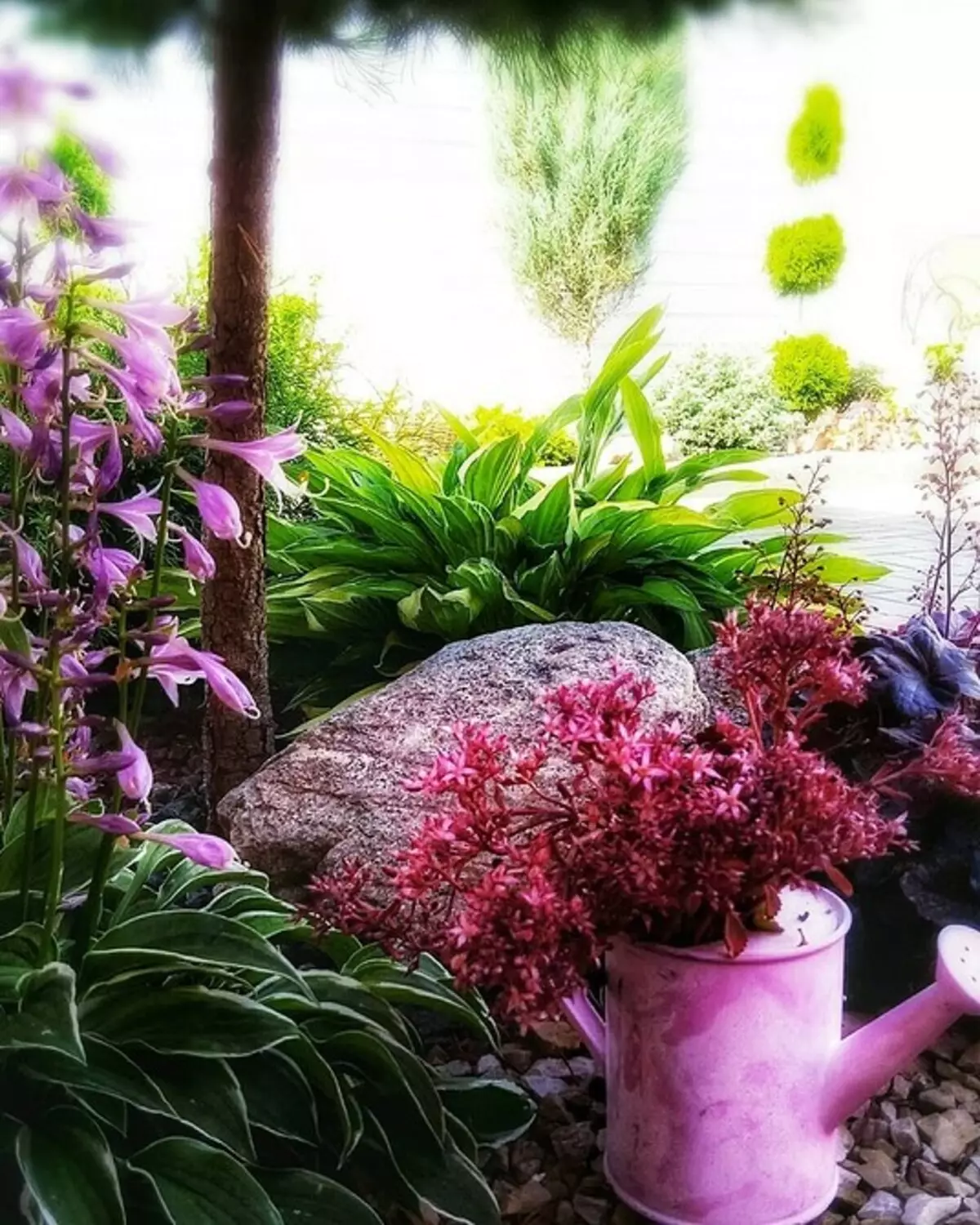 Virág tervezése a kertben a saját kezével: hasznos tippek és fotók, amiket szeretsz 9117_5