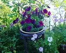 Design av blomma i trädgården med egna händer: användbara tips och foton som du gillar 9117_66