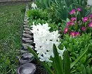 अपने हाथों से बगीचे में फूल का डिजाइन: उपयोगी टिप्स और तस्वीरें जिन्हें आप पसंद करते हैं 9117_88