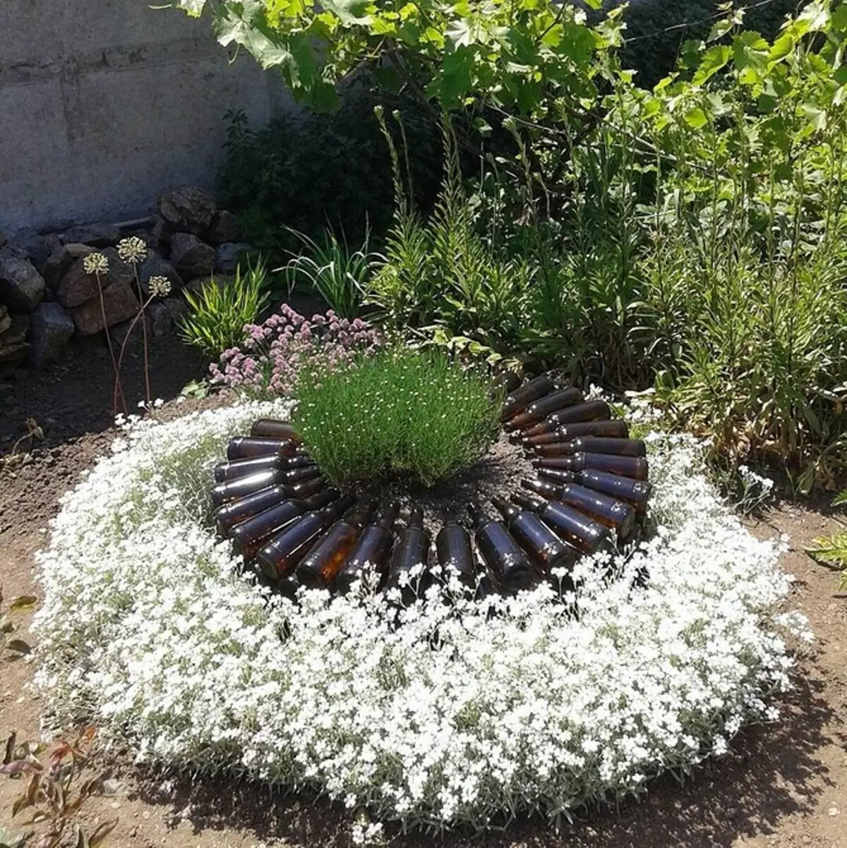 Diseño de flores en el jardín con sus propias manos: consejos útiles y fotos que le gustan 9117_91