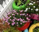 Hartimi i luleve në kopsht me duart tuaja: këshilla dhe foto të dobishme që ju pëlqen 9117_94