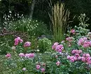 Decoración de camas de flores con rosas: consellos útiles e 65 fotos de fermosas composicións 9137_105