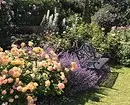 Decoración de camas de flores con rosas: consellos útiles e 65 fotos de fermosas composicións 9137_12