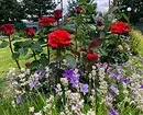 Decoración de camas de flores con rosas: consellos útiles e 65 fotos de fermosas composicións 9137_127