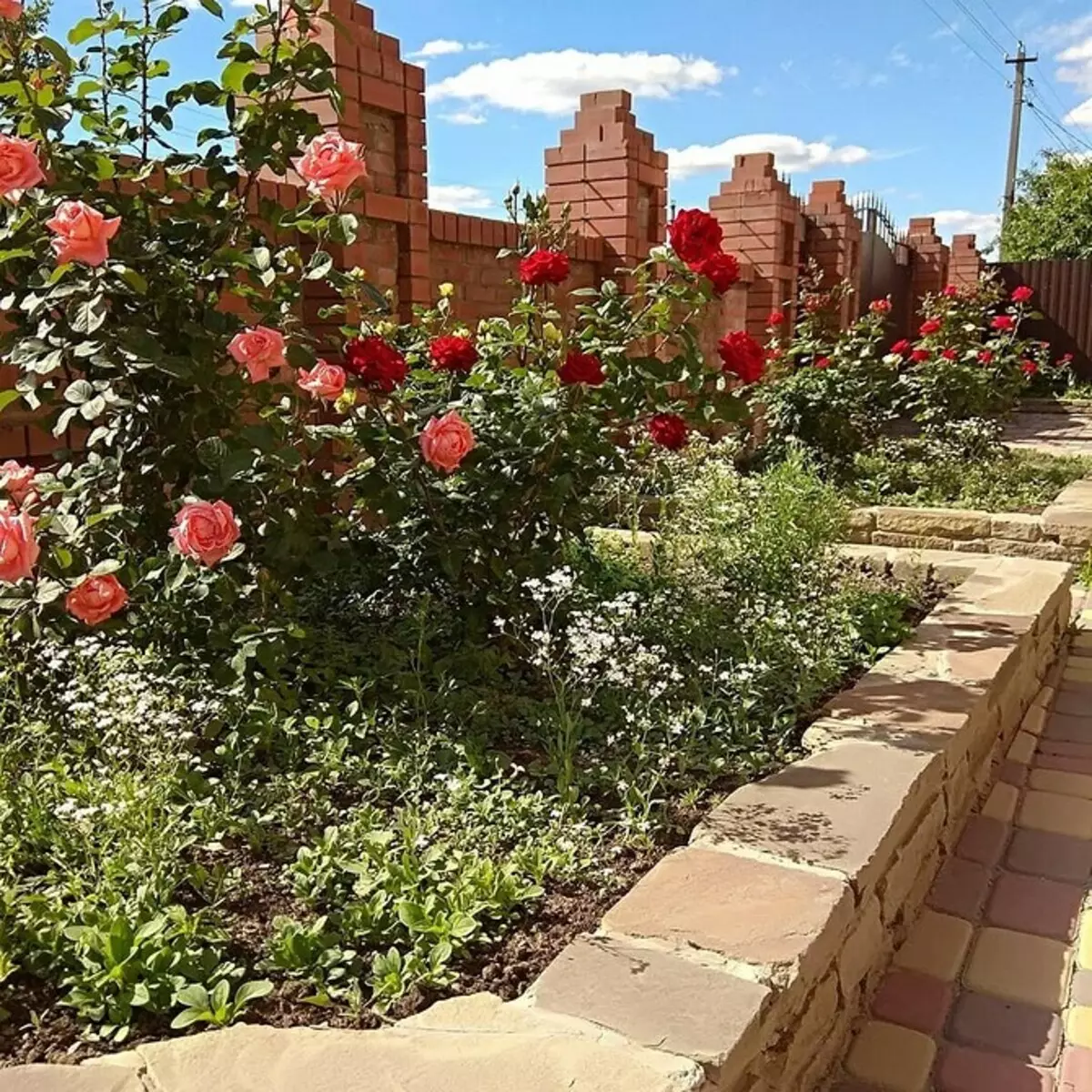 Decoración de camas de flores con rosas: consellos útiles e 65 fotos de fermosas composicións 9137_132