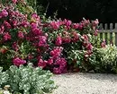 Decoración de camas de flores con rosas: consellos útiles e 65 fotos de fermosas composicións 9137_20