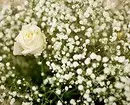 Decorarea paturilor de flori cu trandafiri: Sfaturi utile și 65+ fotografii de compoziții frumoase 9137_53