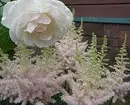 Decoración de camas de flores con rosas: consellos útiles e 65 fotos de fermosas composicións 9137_59