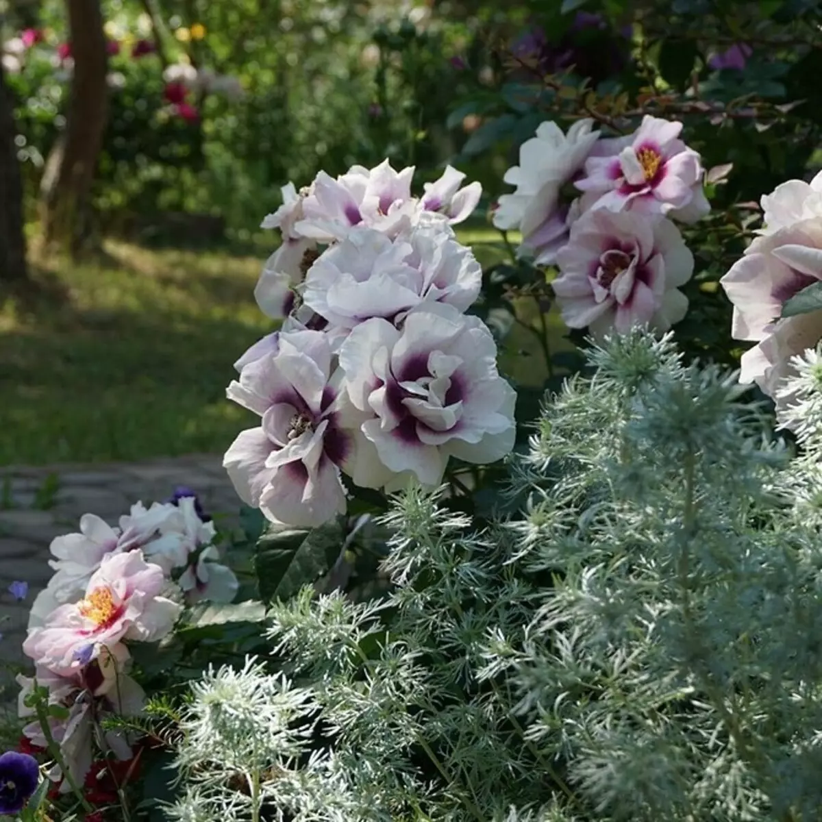 Decoración de camas de flores con rosas: consellos útiles e 65 fotos de fermosas composicións 9137_65