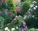 Decorarea paturilor de flori cu trandafiri: Sfaturi utile și 65+ fotografii de compoziții frumoase 9137_70