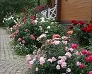 गुलाब के साथ फूलों के बिस्तरों की सजावट: उपयोगी टिप्स और सुंदर रचनाओं की 65+ तस्वीरें 9137_79