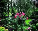 Decoración de camas de flores con rosas: consellos útiles e 65 fotos de fermosas composicións 9137_87