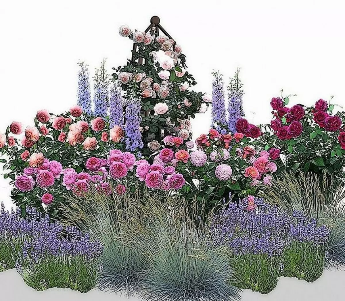 Decoración de camas de flores con rosas: consellos útiles e 65 fotos de fermosas composicións 9137_93
