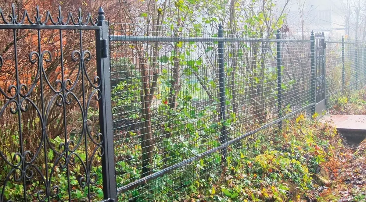 6 alternatif untuk pagar tuli di daerah pedesaan 9183_5