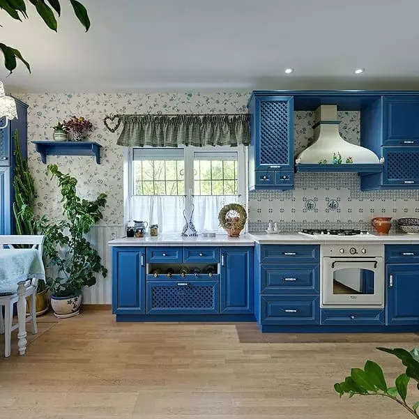 Provansa virtuves dizains: 50 mājīgas fotogrāfijas, kas jums patīk 9206_10