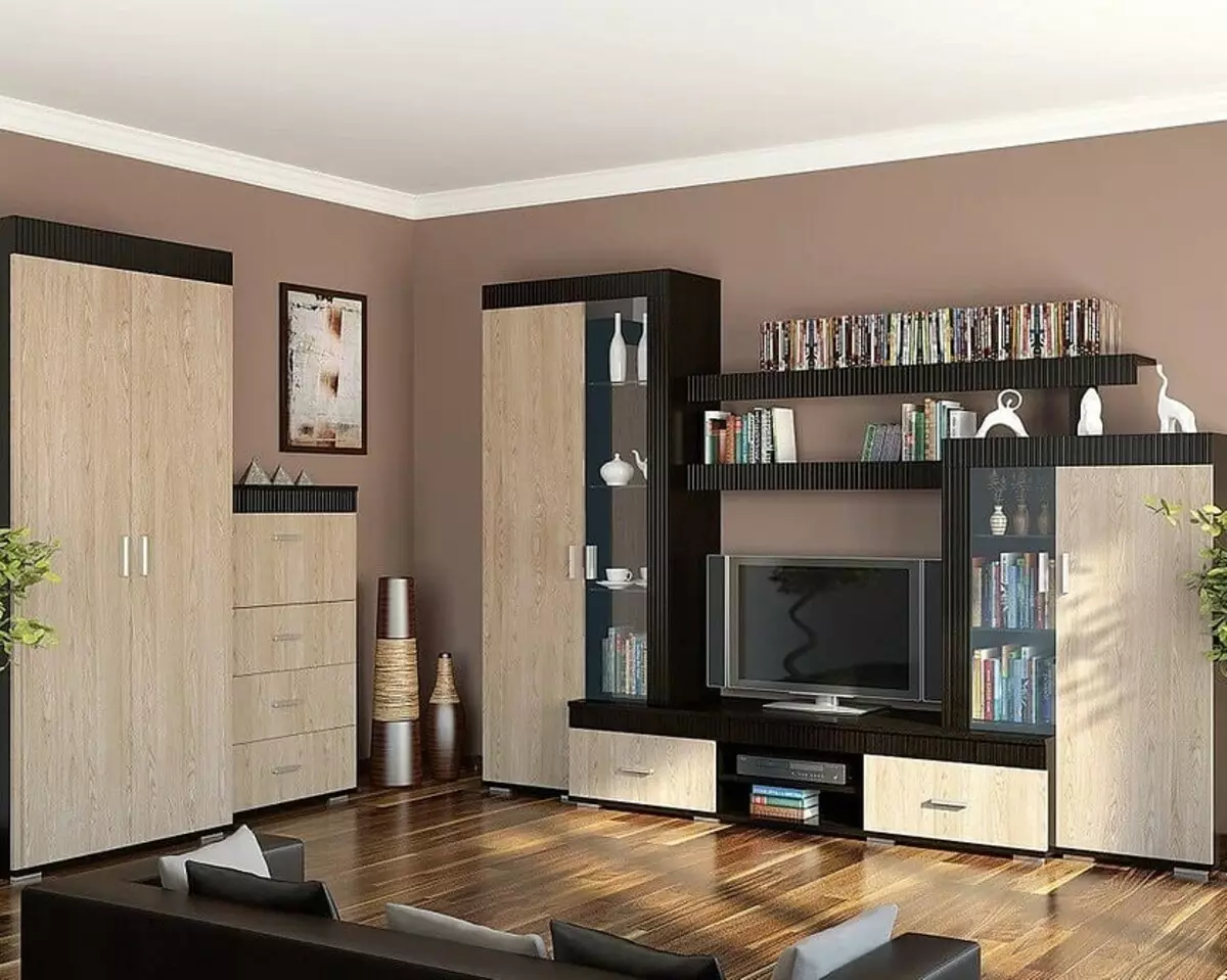 Hill in de woonkamer: 10 manieren om een ​​compositie te creëren in een moderne stijl 9257_29