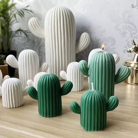 Buji-cactus