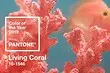 Coral - Color 2019 Ifølge Pantone