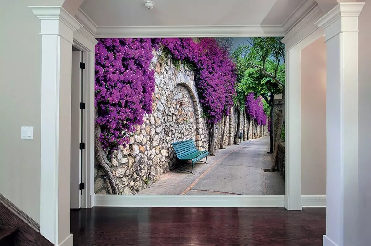 Зидни мурал за ходник и ходник: 45 модерних дизајнерских идеја 9473_55