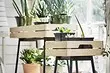 آرائشی گرین ہاؤس اور گھر کے پودوں کے لئے IKEA سے 8 مزید مفید نوکریاں