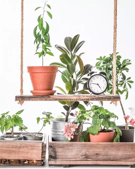 12 accesorios útiles para plantas de interior 9477_15