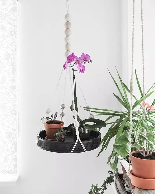 12 accesorios útiles para plantas cubiertas. 9477_16