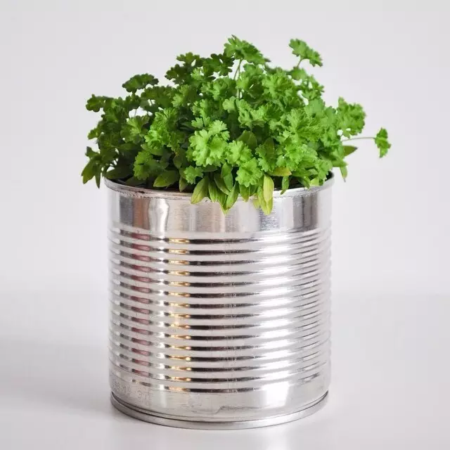 12 Useful Accessories for Indoor Plants 9477_31