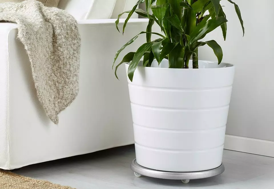 12 Useful Accessories for Indoor Plants 9477_38