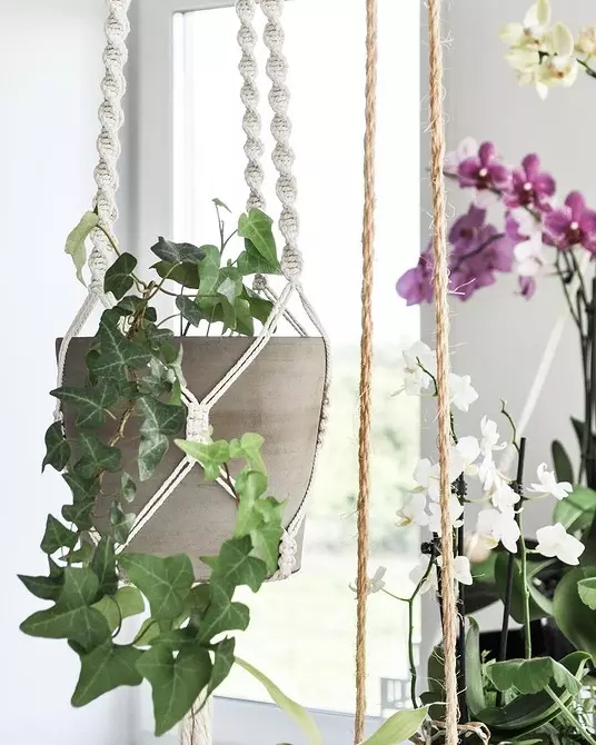 12 accessoires utiles pour plantes intérieures 9477_9