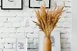 あなたがインテリアに追加するべきである6つの理由... Pampas Grass