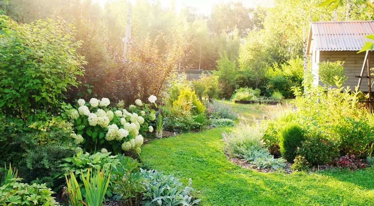 Nema guma: 6 ideja za uređenje vrta s prirodom