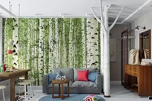 Thiết kế căn hộ với sự nhấn mạnh vào một cái cây: ván trong phòng ngủ và bạch dương trong phòng khách 9774_1
