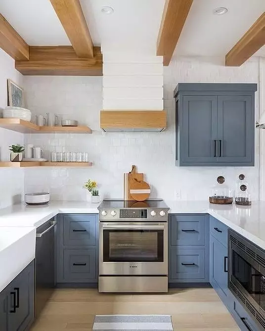 Turun putih dan kelabu: 25+ dapur yang menakjubkan dengan facades berwarna 9815_12
