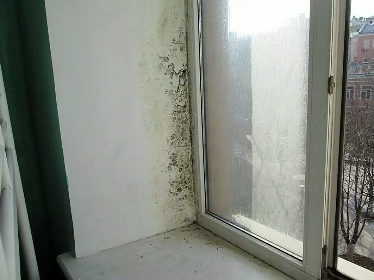 Cara menghapus cetakan dari dinding di waktu apartemen dan selamanya: cara yang efektif 9842_11