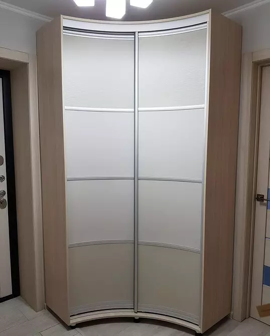 Какъв гардероб да избере в коридора: 6 текущи опции 9860_119