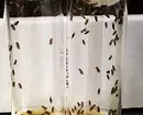 Cómo deshacerse de los pequeños mosquitos en la cocina y evitar su re-aparición. 9897_15