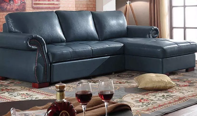 Sofa with Dolphin mechanism: All you need to know about the furniture you like 9914_4