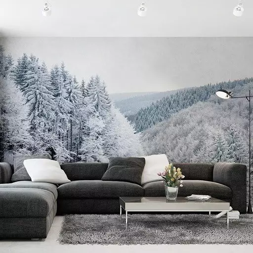 Bagaimana untuk menghiasi dinding di atas sofa: idea yang mudah dan rumit 9959_66