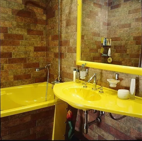 बाथरूम डिजाइन शौचालयको साथ मिल्यो: दर्ता सुझावहरू र 700+ सफल विकल्पहरू 9974_142