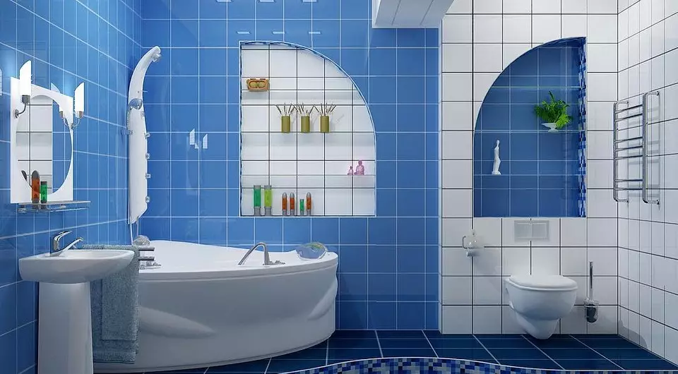 Ариун цэврийн өрөөний загвар нь жорлонтой хослуулсан: Бүртгэлийн зөвлөмж, 70+ амжилттай сонголтууд